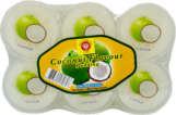 COCONUT PUDDING WITH NATA DE COCO