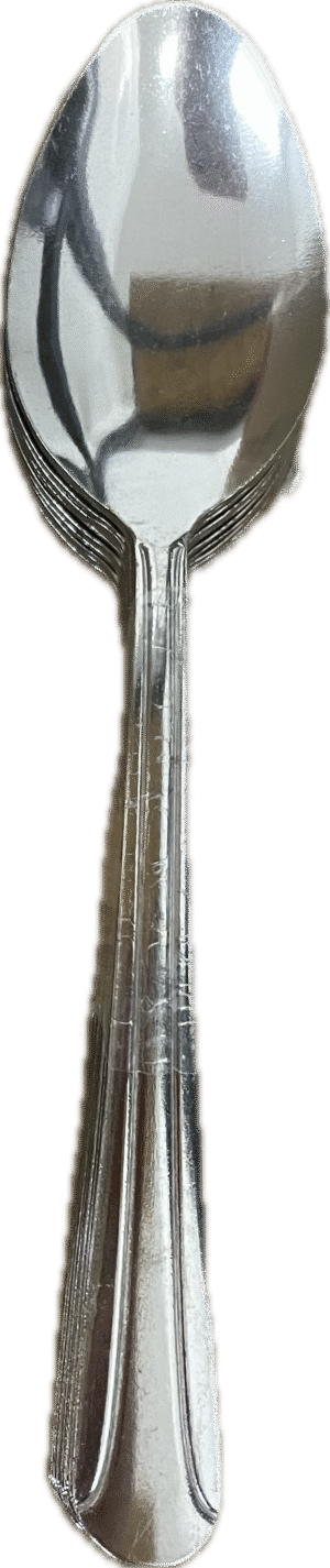 STAINLESS STEEL SPOONS