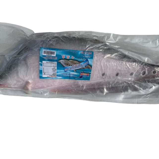 GIANT FEATHERBACK FISH (WHOLE)