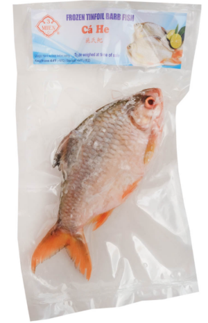 HE FISH (RIVER BARB FISH)