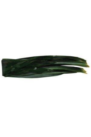 FROZEN BAI THOY (PANDAN) LEAVES